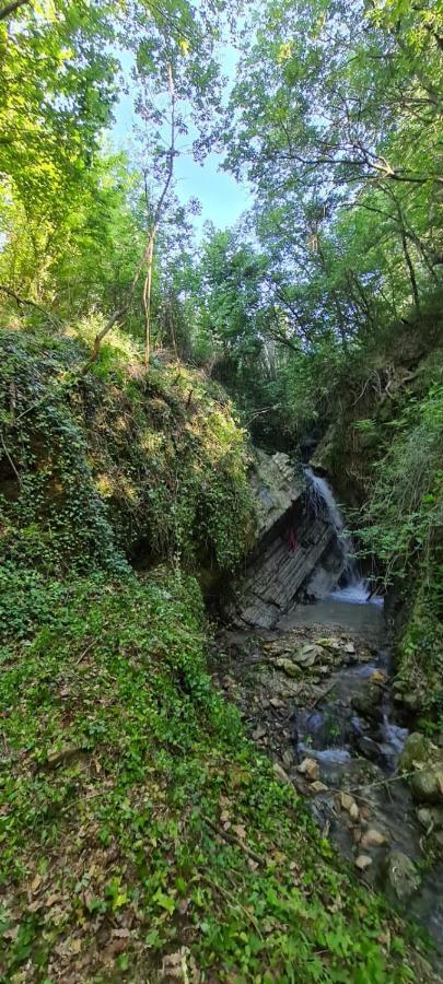 Ca' Del Tartufaio Villa Castelmauro Exterior foto
